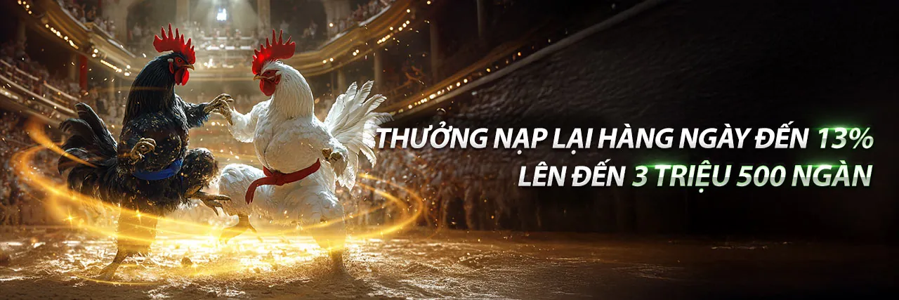 Đá Gà Thomo 678 Trực Tuyến Đỉnh Cao